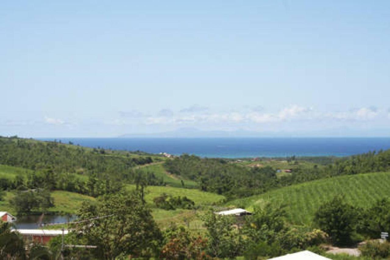 Villa Manguier Riviere-Salee Ngoại thất bức ảnh
