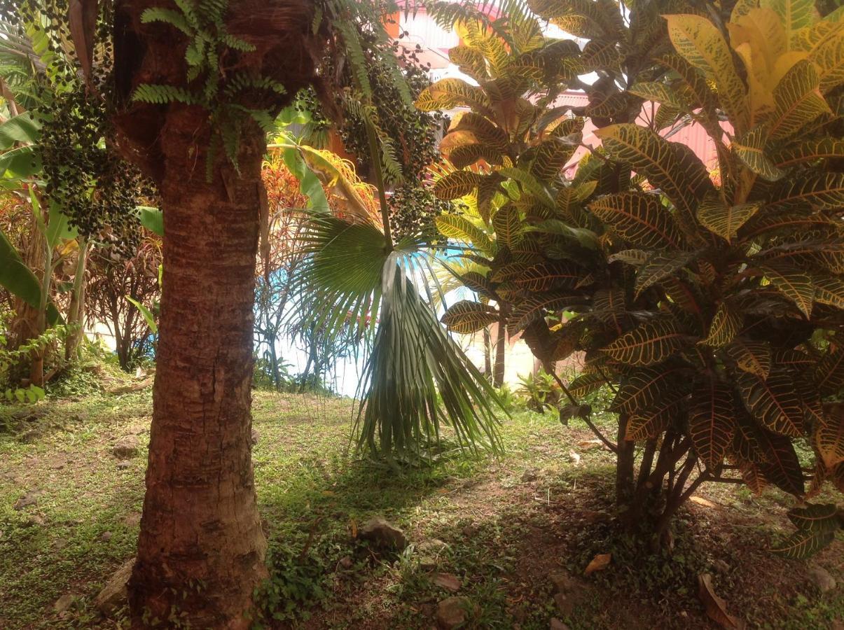 Villa Manguier Riviere-Salee Ngoại thất bức ảnh